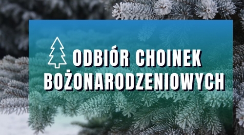obrazek  Odbiór choinek świątecznych wiecej